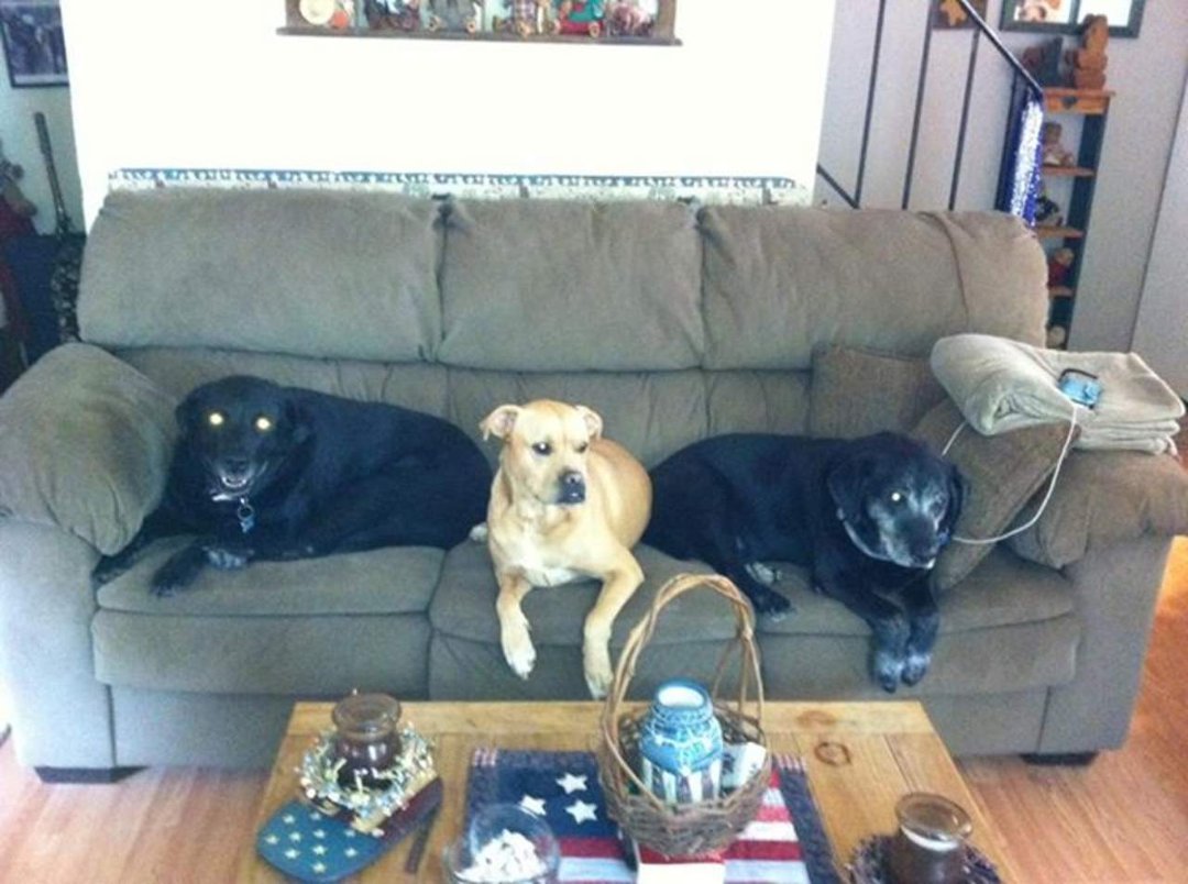 Debbie Ernstberger's album, Cover Photos
