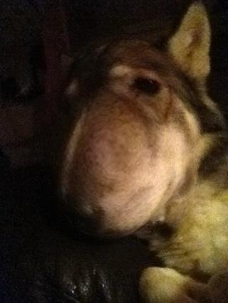 Brian Wallace's album, Photo Booth Pro Photos
