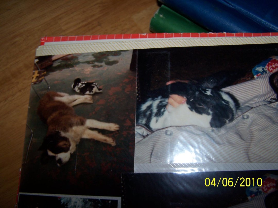 Loreene Sheppard's album, Cover Photos