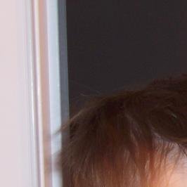 Thomas Hottleman's album, Profile Pictures