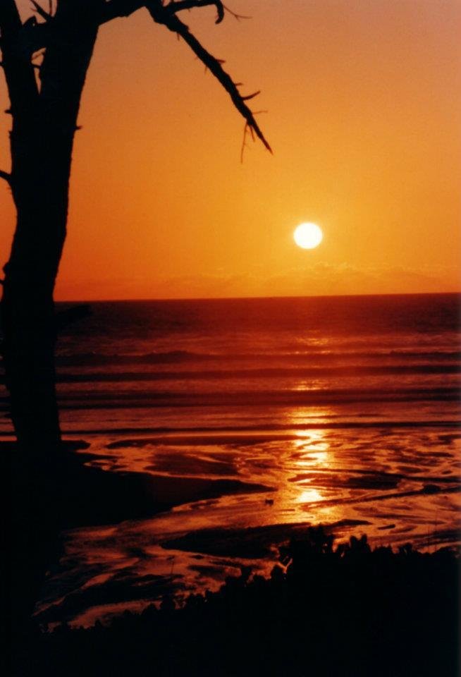 Jeff Morrison's album, Pics I like