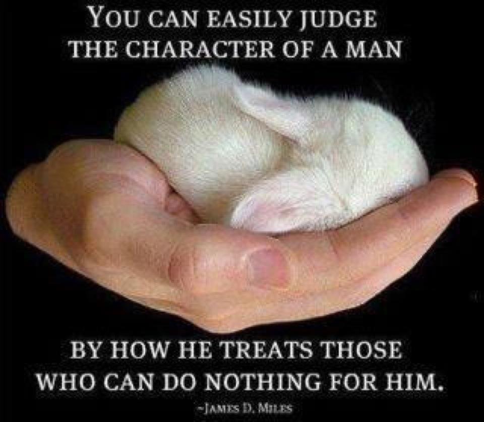 Michael Bongner's album, Timeline Photos