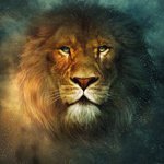 Wade Navarra's album, Profile Pictures