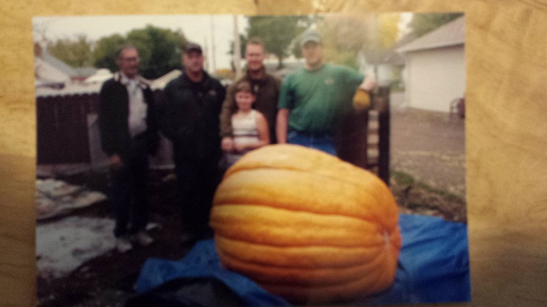 Joe Davidson's album, Mobile Uploads