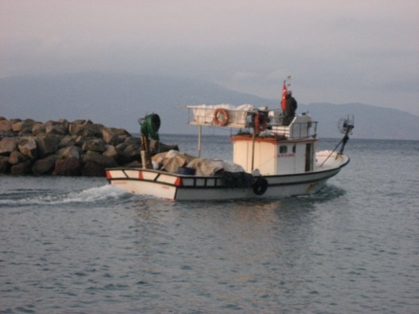 Michael Fryd's album, Turkey