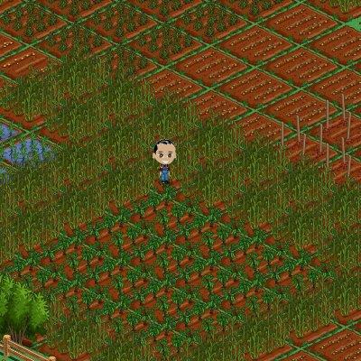 David Perkins' album, FarmVille Photos