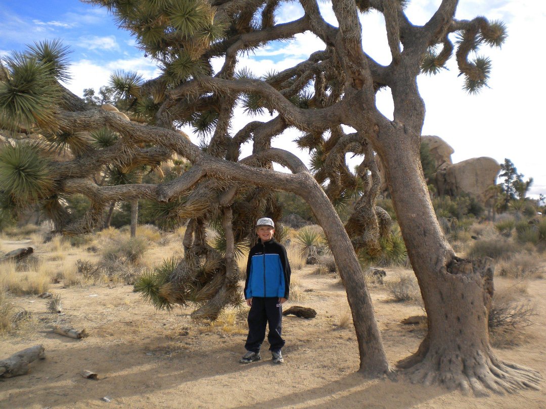Dan Crouch's album, Palm Springs
