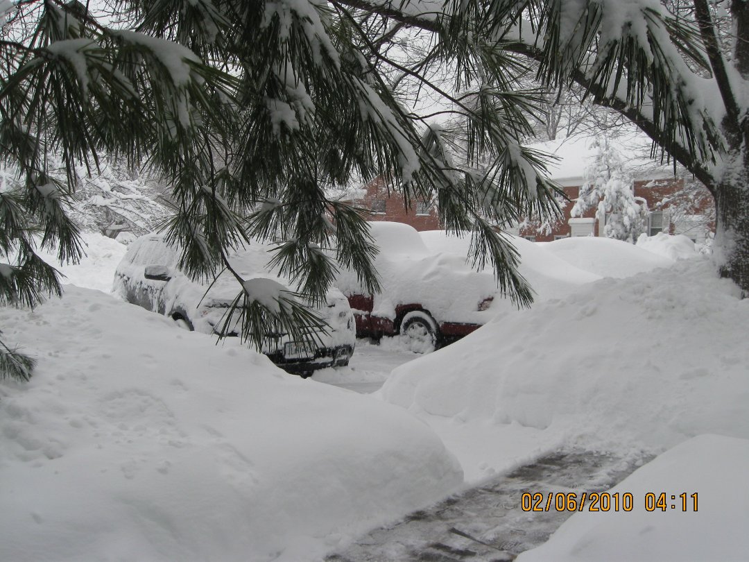 Jane Bourdow's album, Cover Photos