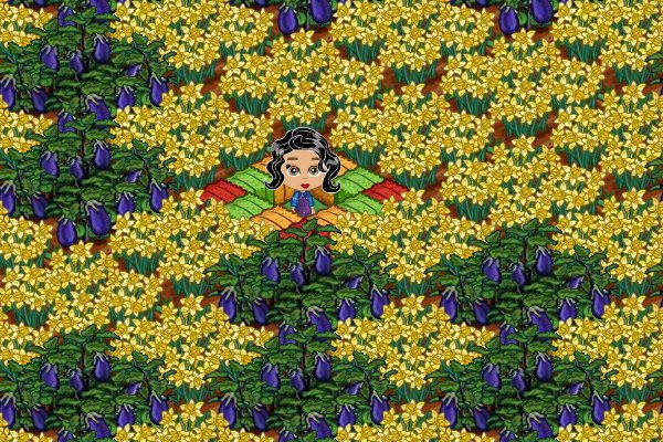 Loriann Wenzel's album, FarmVille Photos