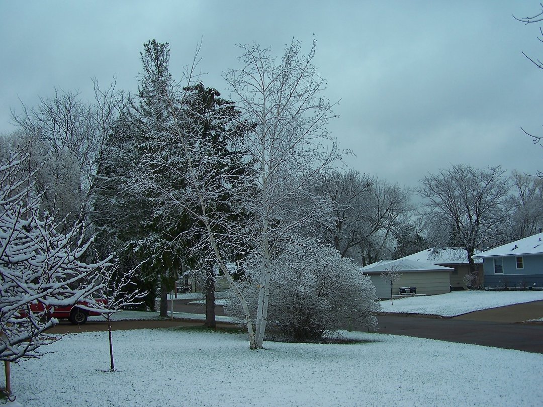 Debi Foster 's album, April 16, 2011