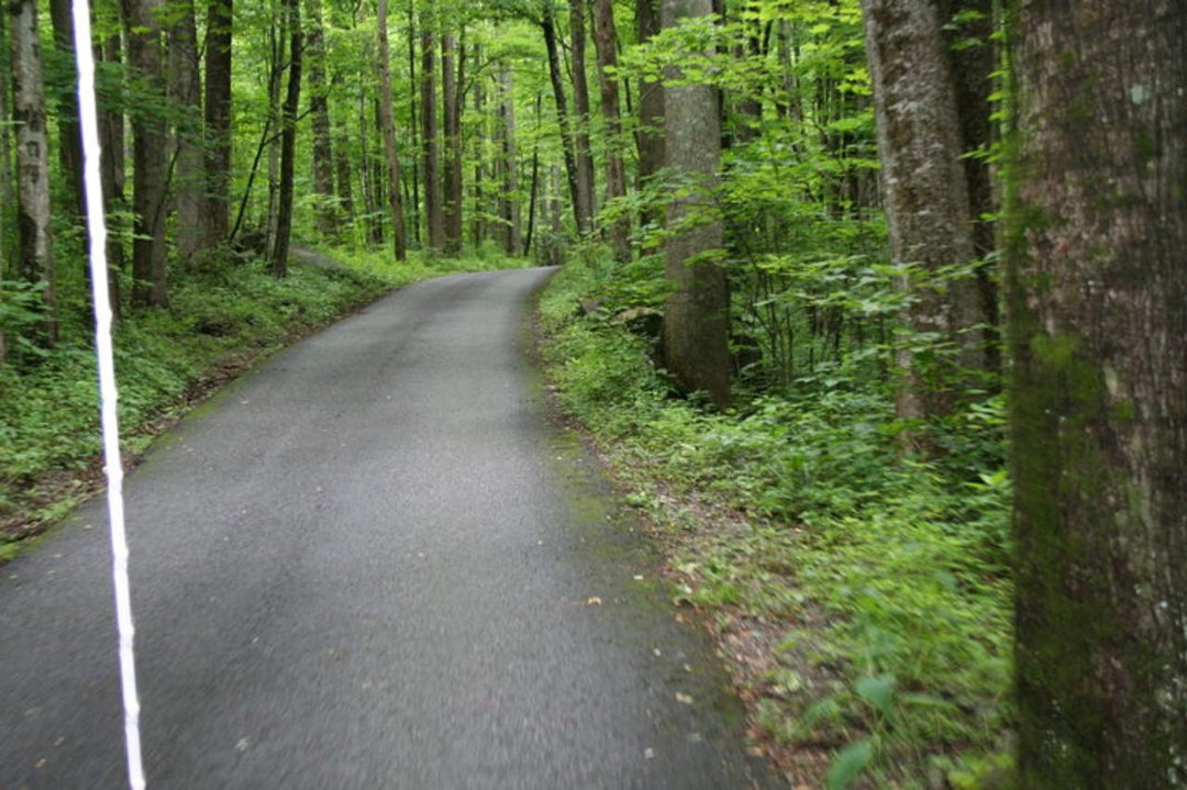 Sherri Filipiak's album, Tennessee 2009