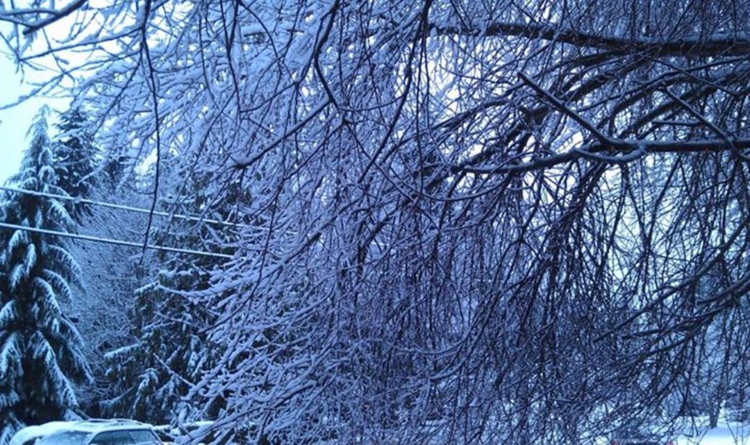Ramona Davis' album, Fall / WINTER