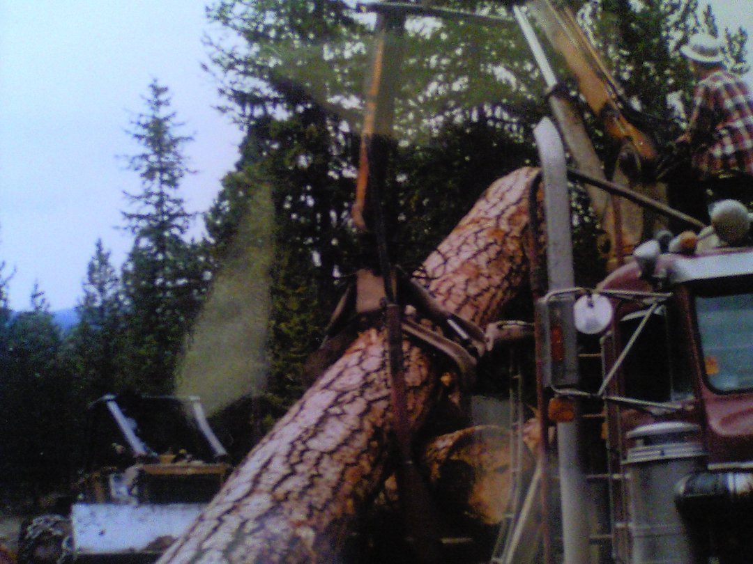 David Reed's album, truck pictures