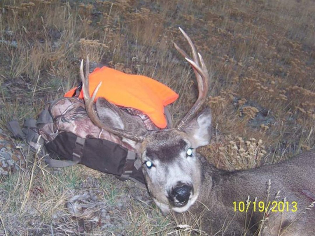 Heather Bell's album, Deer Hunt 2013