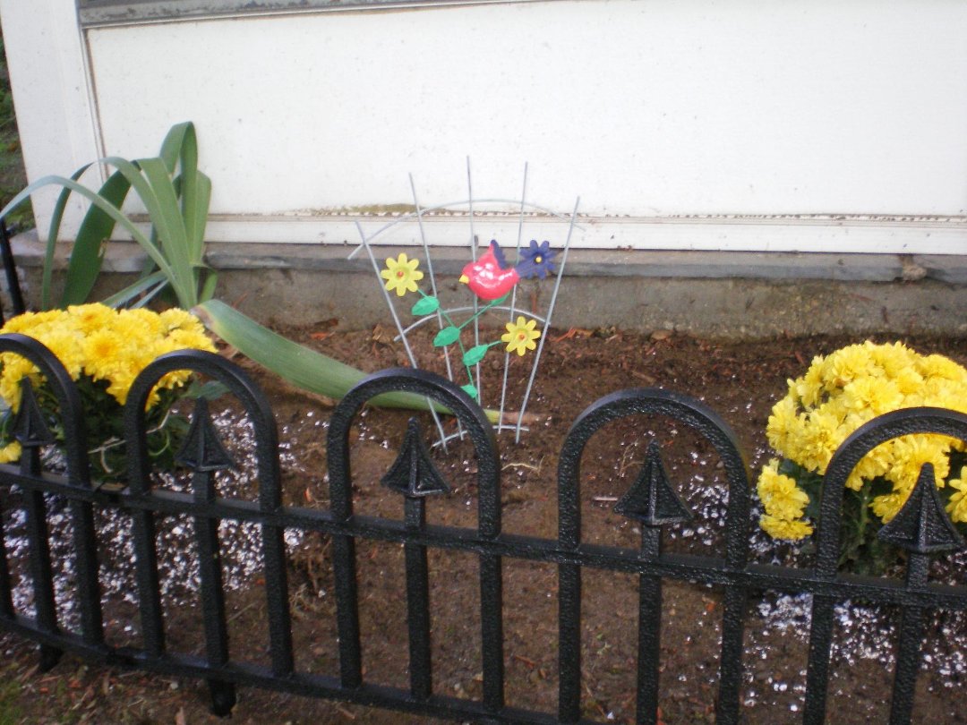 Nancy Harris' album, Cover Photos
