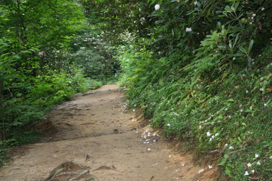 Sherri Filipiak's album, Tennessee 2009