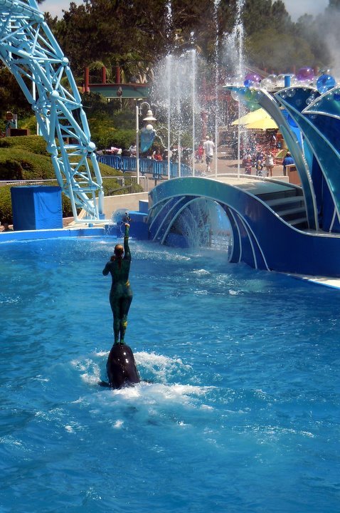 Sonia Lee's album, Sea World San Diego