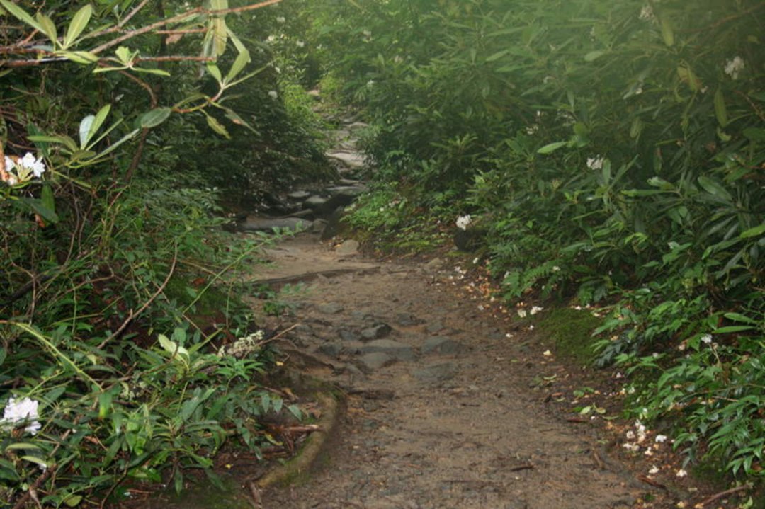 Sherri Filipiak's album, Tennessee 2009