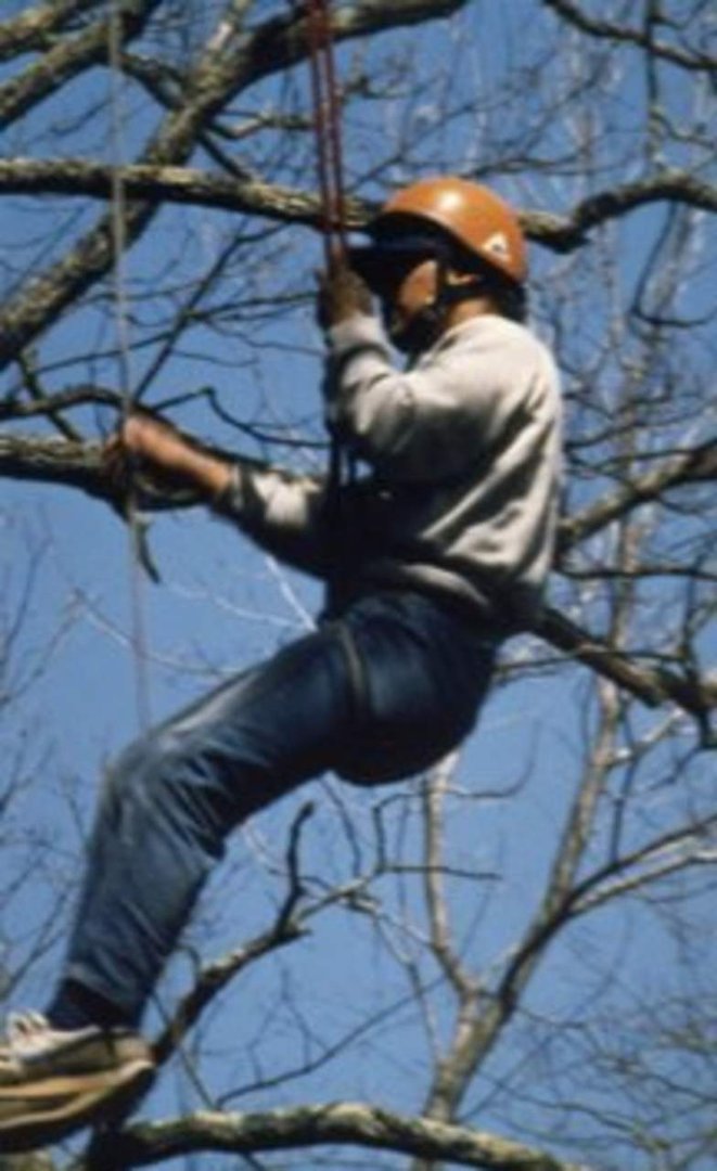 Darrell Lowell's album, Profile Pictures