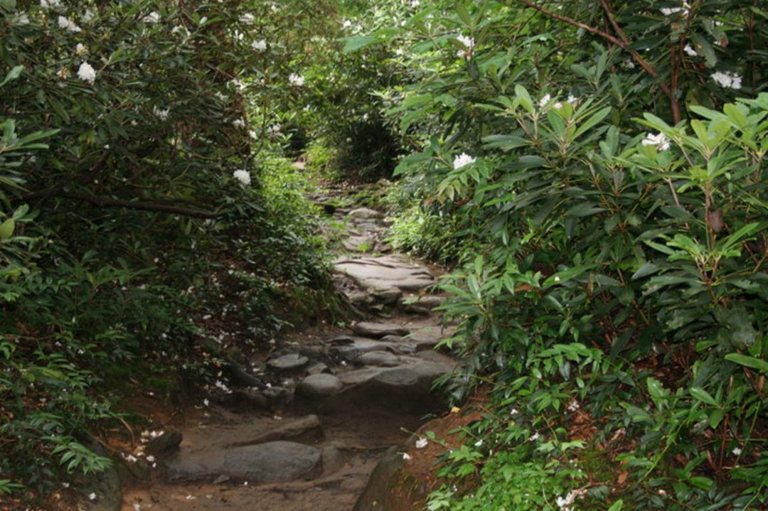 Sherri Filipiak's album, Tennessee 2009