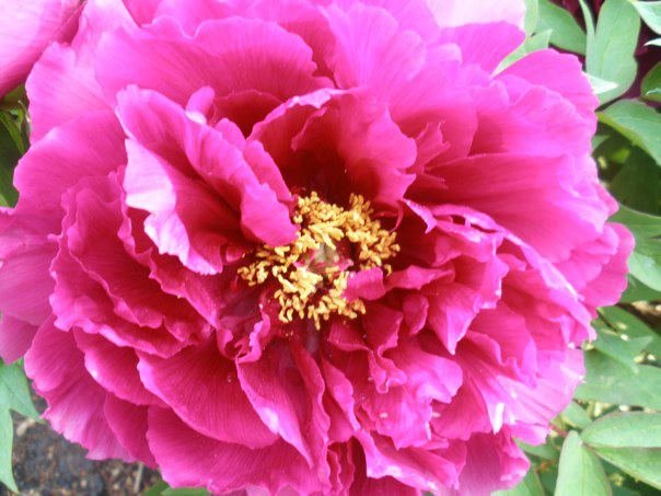 Susan Crady's album, May 21, 2011