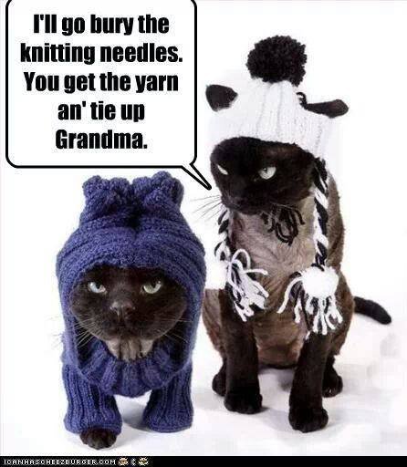 Cindy Bloomer's album, Mobile Uploads