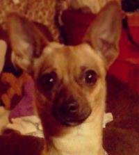 Abbagail Huntly's album, Profile Pictures