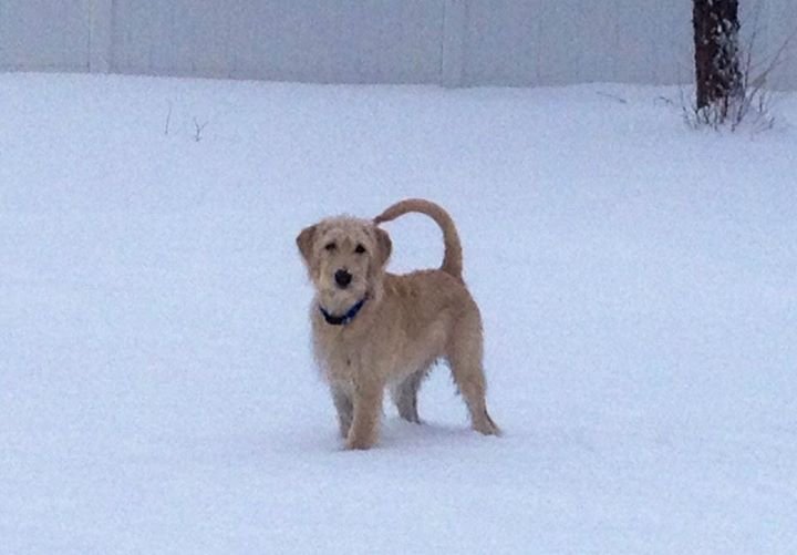 Robert Stephens' album, iOS Photos