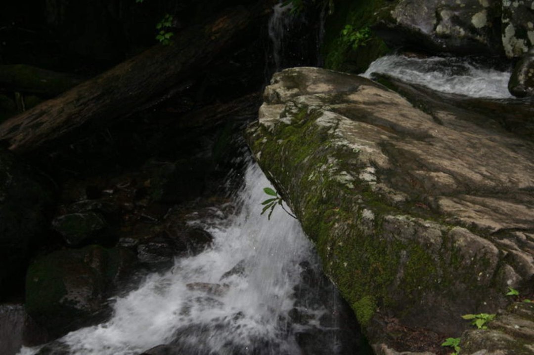 Sherri Filipiak's album, Tennessee 2009