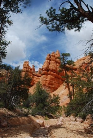 Michael Fingerle's album, West Trip 2010
