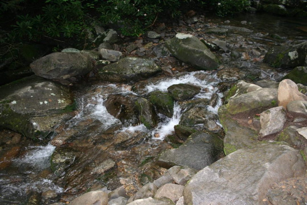 Sherri Filipiak's album, Tennessee 2009