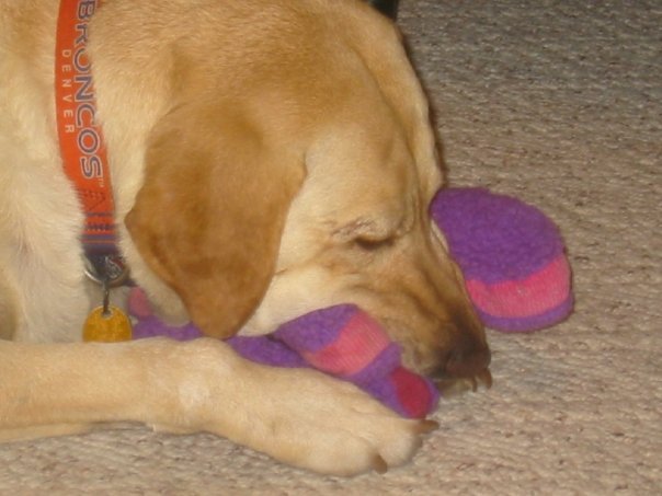 Tyler Nelson's album, Sweet Tobi Girl