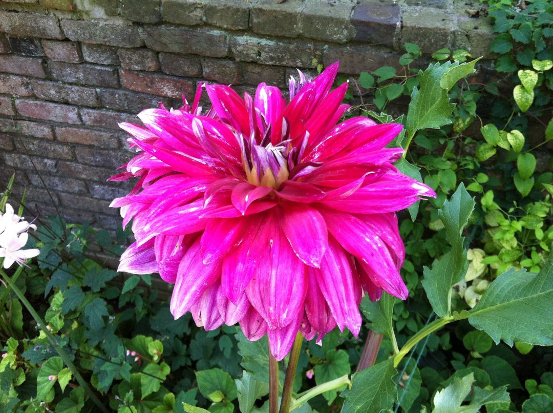 John Morelock's album, Mobile Uploads