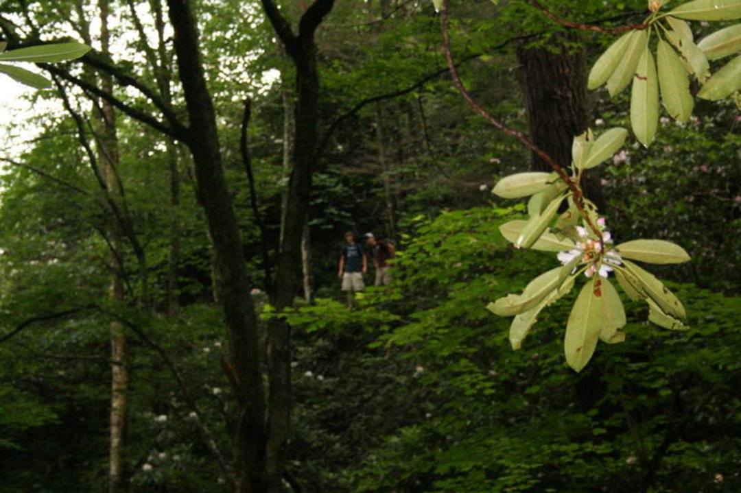 Sherri Filipiak's album, Tennessee 2009