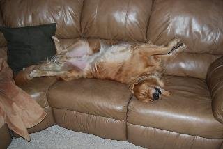 Jerry Ferguson's album, Cover Photos