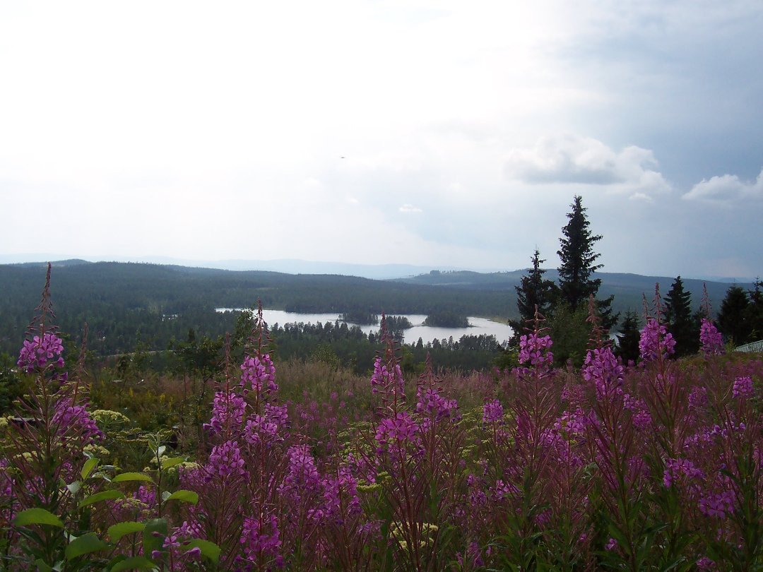 Lisa Fuller's album, Cover Photos
