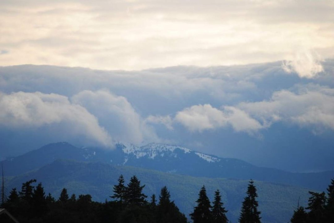 Rick Rozon's album, Parksville 2011