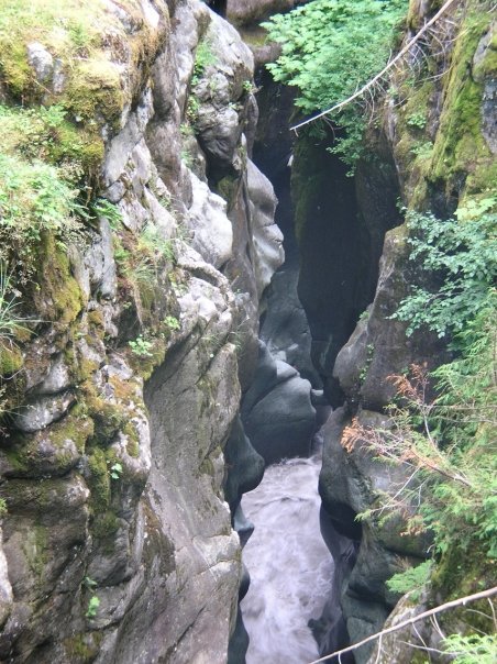 Sheba Dalaney's album, Summer 2009