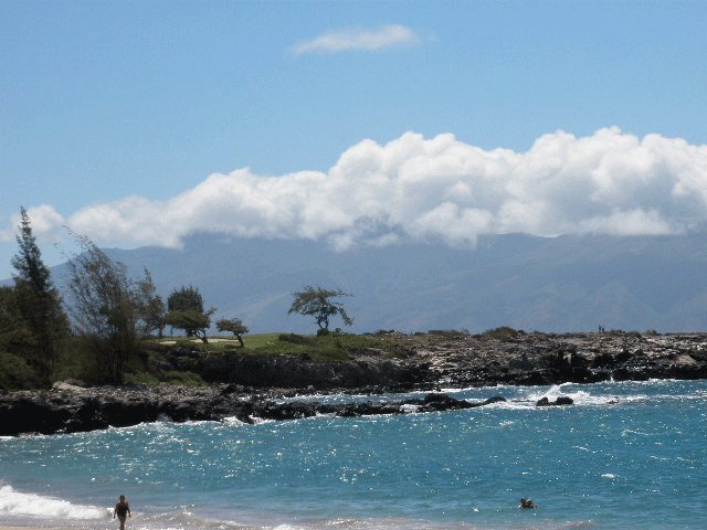 Philip Brown's album, Maui 2010