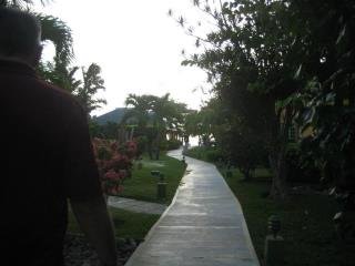 Patsy Bain's album, Our Jamaica Trip 2012