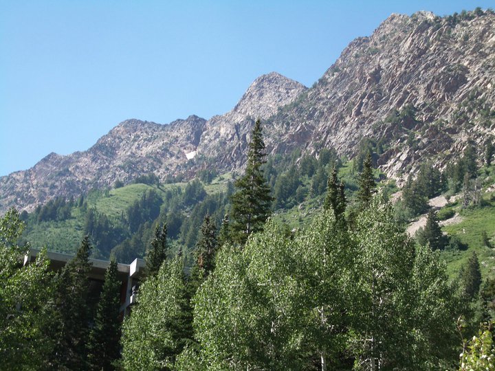 Joyce Baxter's album, Summer 2011
