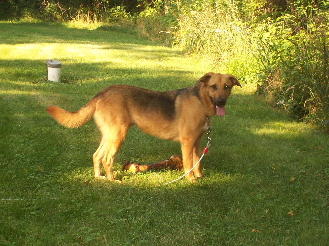 Kym Carroll's album, Kodak EasyShare
