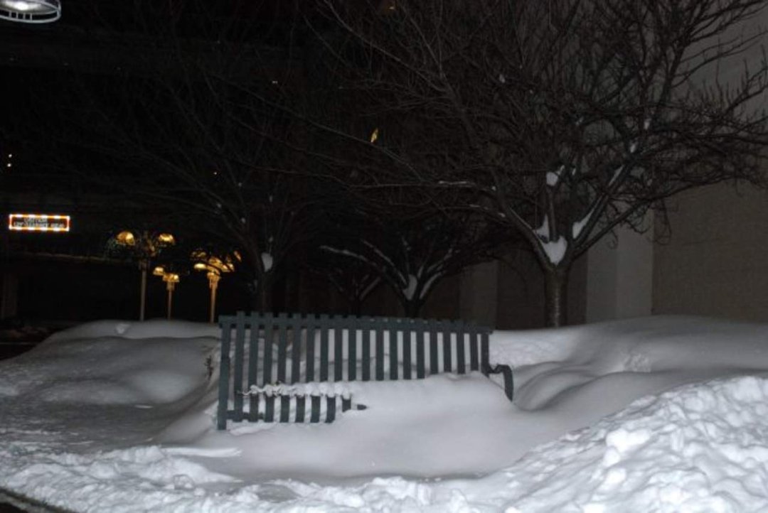 Donna Greenwald's album, winter wonderland