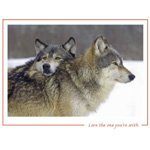 Sue Rowe's album, Profile Pictures