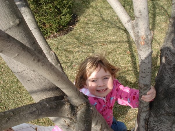 Amy Schaefer's album, family pictures