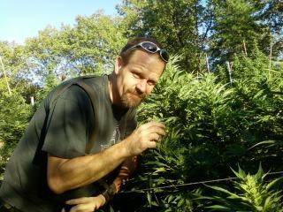 Tim Smith's album, Mobile Uploads