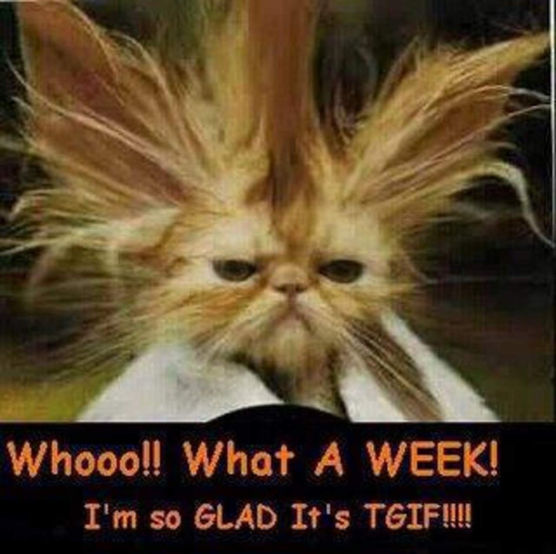 Ken Han's album, Timeline Photos