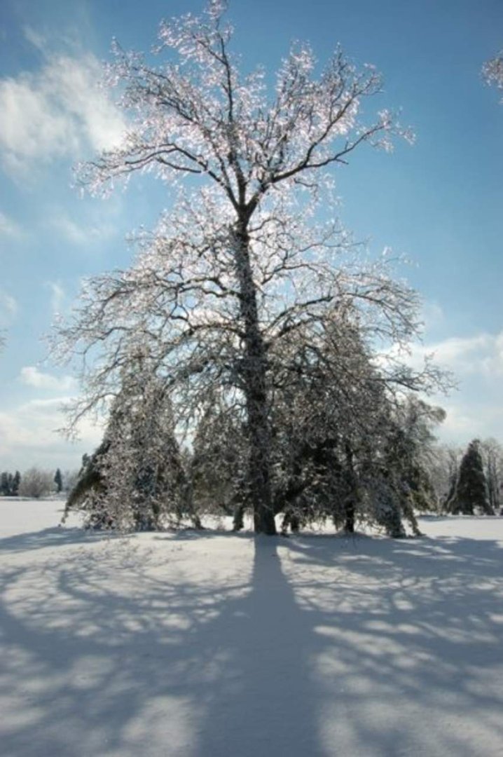 Mike Prather's album, Kentucky Ice Storm 2009