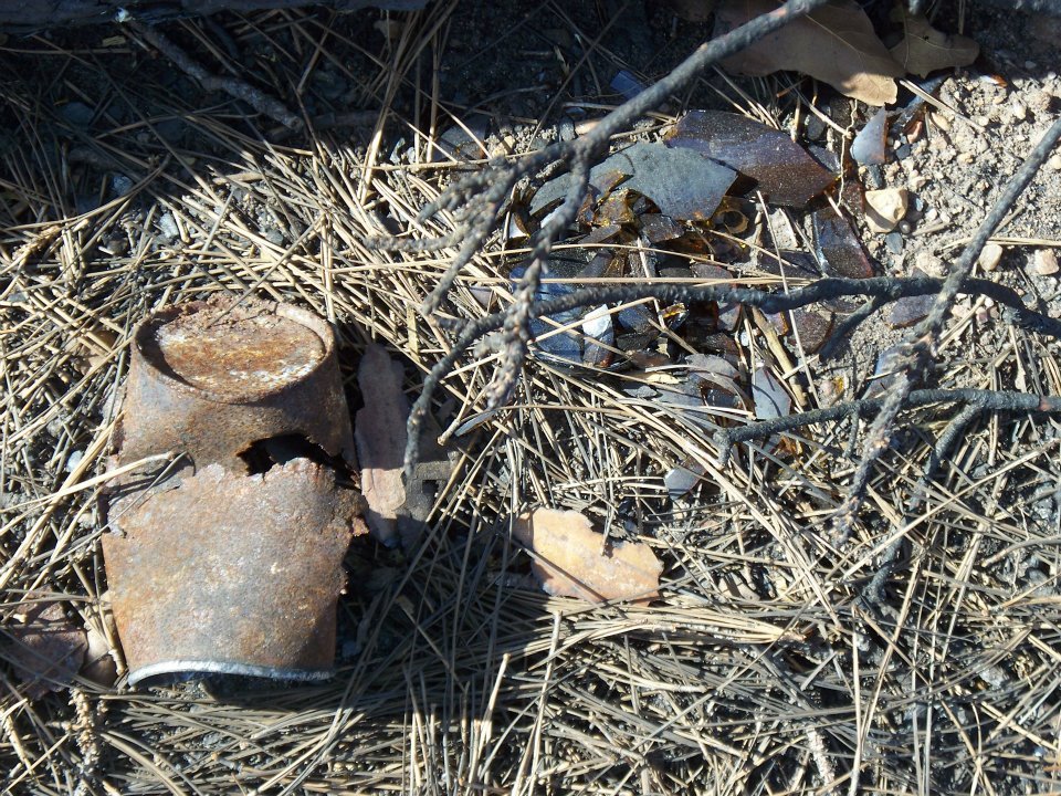 Al Brien's album, Bastrop Roadside Fire Damage
