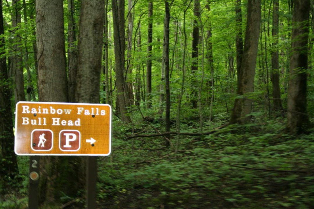 Sherri Filipiak's album, Tennessee 2009